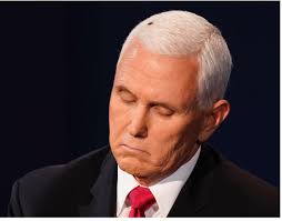 Anybody notice this fly