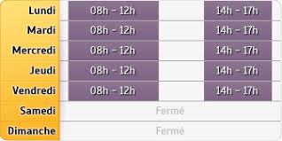 Communique relatif a la modification des delais de declation et de paiement des impots et taxes. Davant A Pau