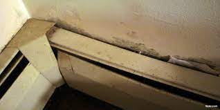Mold often has a fuzzy appearance but can also look like a stain if it's growing on a wall or furniture. How To Detect Mold In Your House Propertytalk