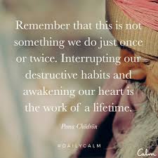 These are some of our favorite quotes from pema chodron. Slowly Slowly Pole Pole Pema Chodron Quotes Daily Calm Calm Quotes