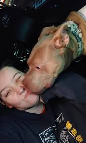 Lost friendly pet near Winchester, Deposit, AL