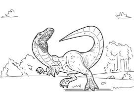 The distinctive features of this type of dinosaur will make it really appealing to your kid to color it well. D I N O D A N A C O L O R I N G P A G E Zonealarm Results