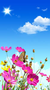 List Of Free Flowers Hd For Android Wallpapers Download Itl Cat Website download gambar berkualitas tinggi.