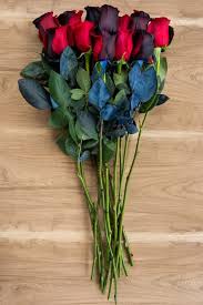 We did not find results for: Black Red Tinted Roses