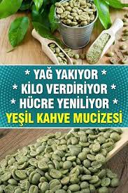 yesil kahve faydalari yesil taze fasulye kahve