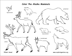 Walnut street suite 136 harrison, ar 72601. Alaskan Mammals Coloring Page Coloringbay