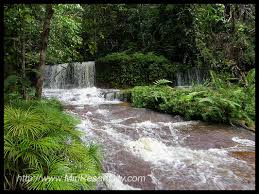 Taman negara bukit lambir merupakan sebuah taman negara yang terletak di miri, sarawak, malaysia. Lambir Hills National Park Miri Sarawak