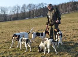 Image result for bernský honič