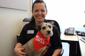 Puppy adoption atlanta humane society. Did You Adopt Your Pup From Ahs We Have Atlanta Humane Society Facebook