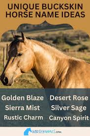 Image result for Medium Buckskin 1989 Colt