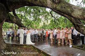Kristin Brett Treaty Oak Park Florida Wedding Venues Wedding Venues Louisiana Wedding Venues