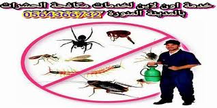 pin on شركة نقل اثاث بالمدينة المنورة 0564366732 خدمة اون لاين