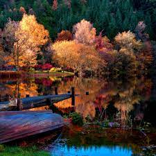 2048x2048 Wallpaper Boat Coast Bottom Autumn Lake Surface Trees Wood Reflection Colors Brightly Light Autumn Lake Scenery Beautiful Nature