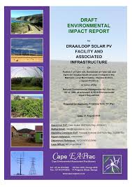 Image result for Afrosolen coeruleus