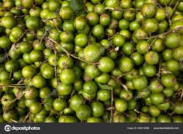 Image result for Melicoccus