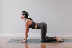 Seated cat cow pose aids breathing by stretching the chest and the lungs, making breathing smoother. 9 Easy Yoga Poses That Target Your Lower Back