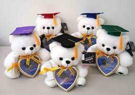 9 Graduation Plush Teddy Bear With Cap Diploma Holding Heart Frame Assorted Teddy Bear Graduation Teddy Bear Teddy Bear Plush