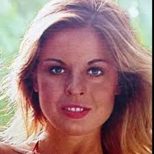 Moonshine County Express (1977)