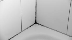 Dieser haushaltstrick entfernt schimmel im badezimmer. Schimmel Im Bad So Vermeidest Und Entfernst Du Ihn Utopia De