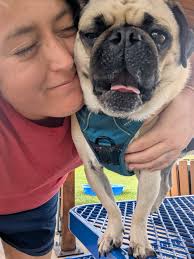 Lugnut is living his best life