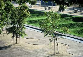 Customs Plaz Geelong Victoria Australia Landscape Design Modern Landscaping Outdoor Landscaping