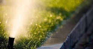 But you must use care in the lawn or garden to avoid the hot water splashing on the remaining plants or grass. How Much Water Does Grass Need A Guide To Conserving Your H2o