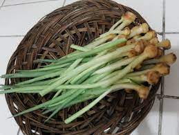 Check spelling or type a new query. Oblok Oblok Boros Masakan Nusantara Yang Unik Halaman 1 Kompasiana Com