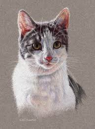 Cat Portrait 2 By Esthervanhulsen Deviantart Com On Deviantart Suluboya Sanati Kedi Sanati Ve Karakalem Cizimler