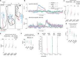 On what principle does this. Encoding Of Wind Direction By Central Neurons In Drosophila Sciencedirect