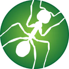 Star pest control in idaho falls has been eliminating pests both inside and outside of homes and businesses for years. Top 3 Best Pest Exterminators In Idaho Falls Id Angi