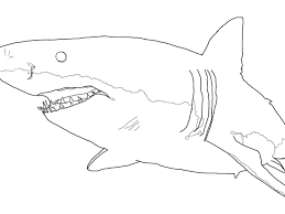Plus, it's an easy way to celebrate each season or special holidays. 26 Best Ideas For Coloring Great White Shark Coloring Page