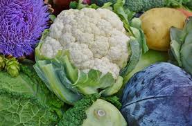 Il cavolo verde è uno dei tipi di cavolo più facilmente riconoscibili. Cavoli 10 Ricette Per 10 Modi Di Dire Centropagina Cronaca E Attualita Dalle Marche