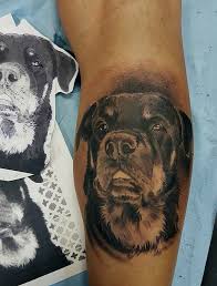 Black And Grey Dog Tattoo 50 Cute Dog Tattoo Ideas For Men Who Loves Dogs Dog Tattoos Panda Bear Tattoos Dog Tattoo
