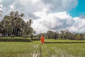 Sis cannel 16 views2 months ago. Tibumana Waterfall Bali 2021 Entrance Fee How To Get There More Daily Travel Pill
