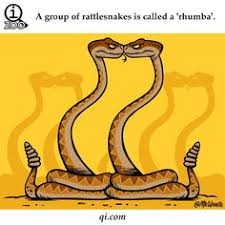 We would like to show you a description here but the site won't allow us. 17 Weird And Fun Animal Facts For Kids Ideas Animal Facts For Kids Animal Facts Facts For Kids