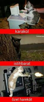 Istihbarat