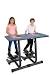 Treadmill Desk Funny