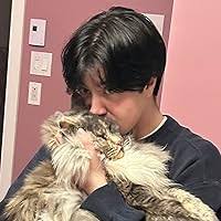 Les mouches en papier by Ariane Michaud