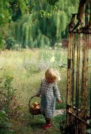 Mon Reve Avoir Un Beau Verger Pour Que Mes Enfants Puissent Cueillir Des Fruits Et Me Les Rapporter Pour Faire Une Tarte Enfant Photos D Enfants Photos