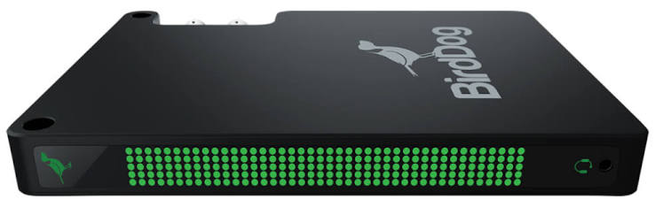 BirdDog Studio NDI