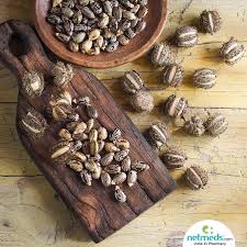 Argan oil is used for hair conditioning & repair by women in morocco. Castor Oil Therapeutic Benefits Uses For Skin And Hair Health
