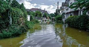 Homeowner's insurance does not typically cover flood damage—however did you know that flooding is ranked the #1 natural hazard in the u.s., occurring in and causing damages in all 50. Flood Insurance In Texas Cost Coverage And Requirements