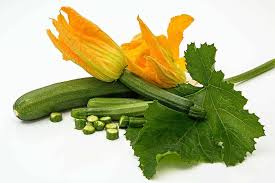 Zucchini plants and other plants, in general, require all these nutrients to grow healthy and produce flowers. Zucchini Squash Plants 3 Tips To Grow Like A Boss Green Thumb Gardener