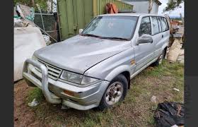 Image result for Autumn Brown 1996 SsangYong