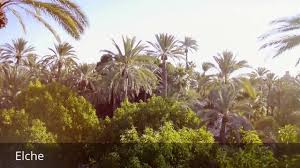 Check spelling or type a new query. Places To See In Elche Spain Youtube