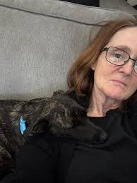 Sometimes people underestimate older setters but Glenda is here to prove  you can absolutely teach an old dog new tricks and she loves adventures  just as much as a younger dog! Glenda