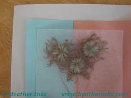 V flower v wax paper v thin towel (like a dish towel) v clothes iron v ironing board or flat heat resistant surface. How To Make A Pressed Flower Card With Wax Paper Pressed Flower Cards Are A Beautiful Way To Expr Flower Cards Handmade Flower Cards Dried And Pressed Flowers