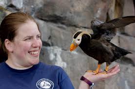 Alaska SeaLife Center 2019 Annual Report