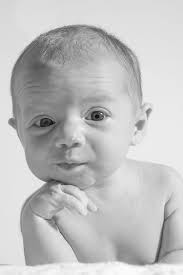 Trumble Photography, LLC