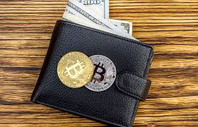 The wallet is developed by over 70. How To Choose The Best Bitcoin Wallet For You Top 4 Crypto Wallets To Try